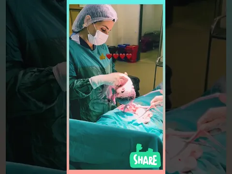 Vlog #1 Baby Delivery | Mother Loves Baby | Baby Delivery #babydelivery #vlog#1 #Surgicaldelivery