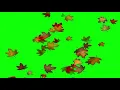 Musim gugur green screen 2