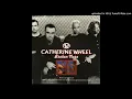 Catherine Wheel - Flower To Hide (Univ Of London, UK, 2-26-98, Broken Nose CD EP Part 2, 4-98)