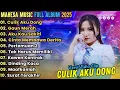 Download Lagu Culik Aku Dong - MAHESA MUSIC FULL ALBUM TERBARU 2025 || INTAN AFIFAH, AYU CANTIKA, DIVA HANI