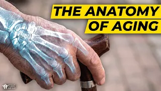YOUR Body Is Aging Right Now... Can You Slow It Down?