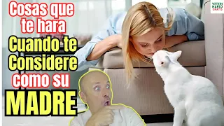 💝 SEÑALES CURIOSAS DE QUE TU GATO TE VE COMO SU MADRE O PADRE 💝