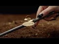 Bellatrix Lestrange Character Wand Harry Potter House of Spells