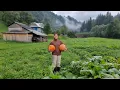 Download Lagu THE WOMAN LIVES ALONE IN THE MOUNTAINS.  Cooking pumpkin porridge in the oven