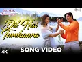 Dil Hai Tumhaara Song Video - Dil Hai Tumhaara | Preity, Arjun \u0026 Jimmy | Alka Y, Kumar S \u0026 Udit N
