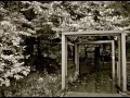 黄昏の街（2014 feat Mutsume Sato photos)