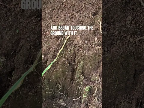 Wait until you see what comes out 😳