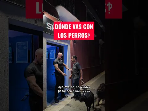 Me sorprende mucho! #bouncerpower #ayuda #elportero #discoteca #viral #shorts #perros #perrosygatos