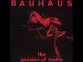 The Passion of Lovers