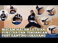 Download Lagu Macam - macam Latihan Pukulan Dan Tendangan PSHT Ranting Losarang