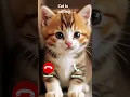 Download Lagu Cute cat calling 😍 #ringtones  #cuteanimal😽 #like👍 #subscribe