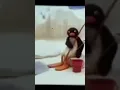 Download Lagu cartoon #Chori chori chal o Gori pipal ki chhau me # short video