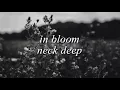 in bloom - neck deep (lyrics)