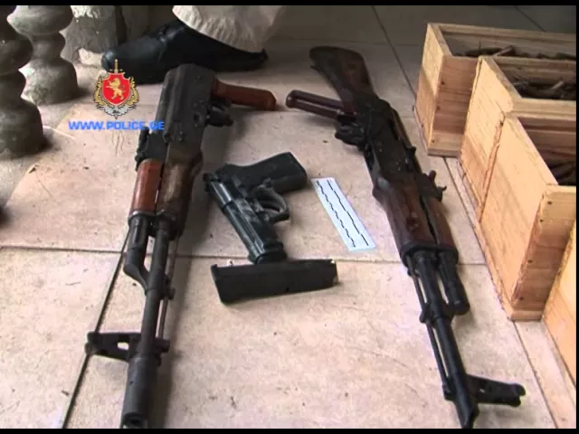 შსს-მ ცეცხლსასროლი იარაღის და საბრძოლო მასალის უკანონო შეძენა-შენახვის ბრალდებით ერთი პირი დააკავა