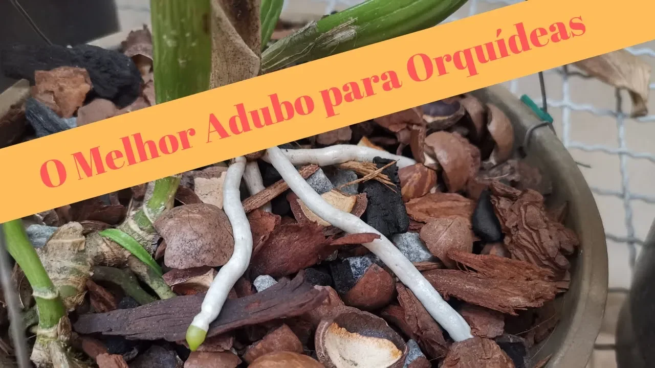 O MELHOR ADUBO PARA ORQUÍDEAS (DESCUBRA O MELHOR) PARTE 1