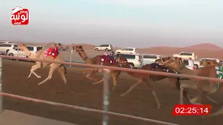 الشوط 2 شاهين لـ حمد محمد بن علي الدرعي 4 26 49 شارة الديوان 2023 12 13 حقايق الرقيعات 