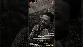 اقوى اغاني طارق الشيخ دندنها