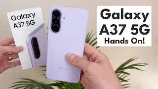 samsung galaxy a37 5g hands on u0026 first impressions 