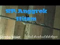 Suara Panggil Walet Terbaik || SP. Anggrek Hitam