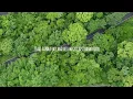 Myles Smith, Niall Horan - Drive Safe (Lyrics)