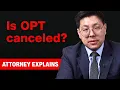Why Some Lawmakers Want to End OPT