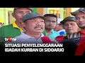 Download Lagu Penyelenggaraan Ibadah Kurban Warga di Sidoarjo | Indonesia Berkurban tvOne