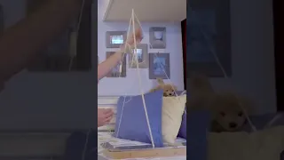 #rigging #sailing #headstay