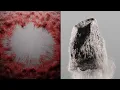Beginner Particle Reveals in Cinema 4D Tutorial