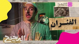 الدحيح الفئران 