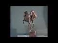 Shwan Kamal-Hors-شوان کمال