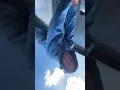 Harbor Freight Auger predator putting in work Definitely worth the money