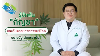 กัญชามีสารสำคัญอะไรที่ทำให้เกิดอาการตื่นเต้นหรือรู้สึกดี