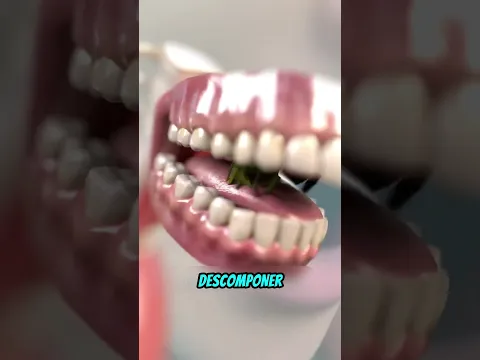 ¿Qué Pasaría Si Tuvieras El Estómago De Una Vaca? 🤯