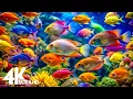 Lagu Aquarium 4K Ultra HD - Stunning Coral Reef Fish with Relaxing Meditation Music for Sleep
