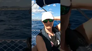 Initier la voile a vos invités? Commencer par de toute petites navigations, avec un temps très calme