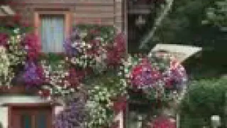 اشتقت اليك فعلمني ان لا انساك الاشتياق اقوى مهلكات النفس عندما نشتاق لشخص 