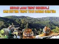 Download Lagu MENCARI LAHAN BARU TEMPAT BERKEBUN..!! KAMI BERTEMU TEMPAT TIDUR HARIMAU SUMATERA