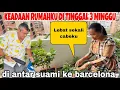 Download Lagu KEADAAN RUMAHKU  DAN TANAMANKU DI TINGGAL 3 MINGGU,DI ANTAR SUAMI KE BARCELONA ‼️