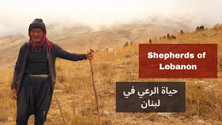                                                                     حياة الرعي في لبنان دندنها