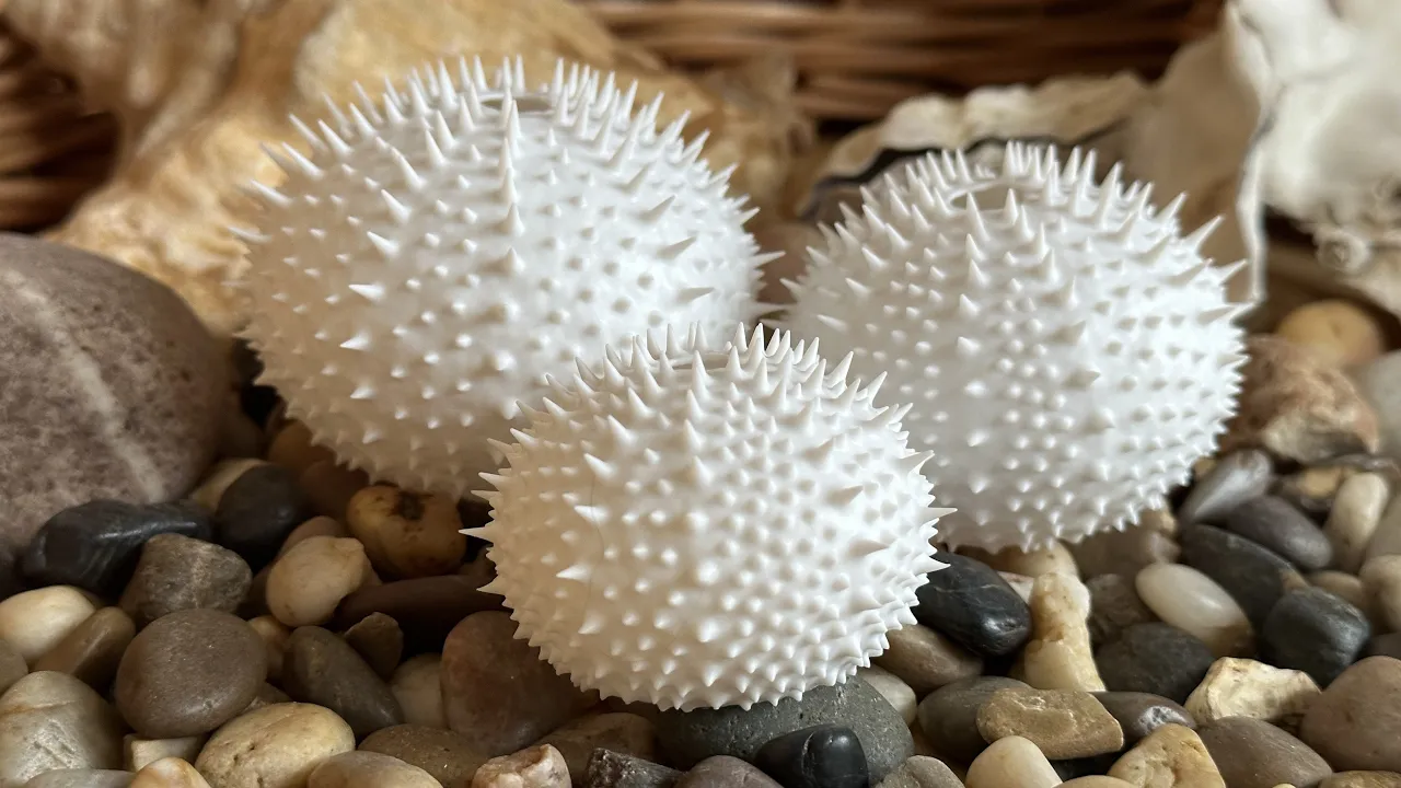Sea Urchin Shells (Spiky)