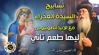 أجمل تماجيد وتسابيح السيدة العذراء مريم مع الانبا أنطونيوس مطران القدس 