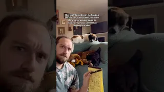 Labels On The Way Out Dreampop Chillmusic Tameimpala Macdemarco Newmusic Indieartist 