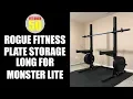 Rogue Fitness Plate Storage for Monster Lite Great Plate Storage Solution