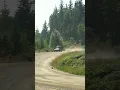 Download Lagu Subaru Forester on Forest Service Roads in the Forest #overlanding