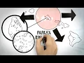 Download Lagu How are GMOs Made? The Genetically Modified Hawaiian Papaya Case Study