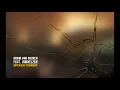 Armin van Buuren feat. Vanvelzen - Broken Tonight (Dub Mix)