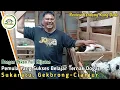Download Lagu TIPS PEMULA YANG SUKSES BELAJAR TERNAK DOGAR DI GEKBRONG CIANJUR