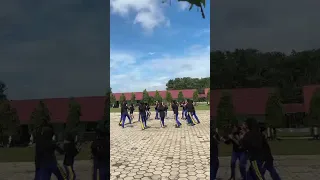 senam kreasi kicau mania