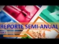 SAR 7 Reporte Semi-Anual