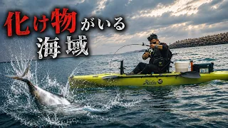 【激闘】化け物がいる海域を調査！生きボラ泳がせで大魚がヒット！！！